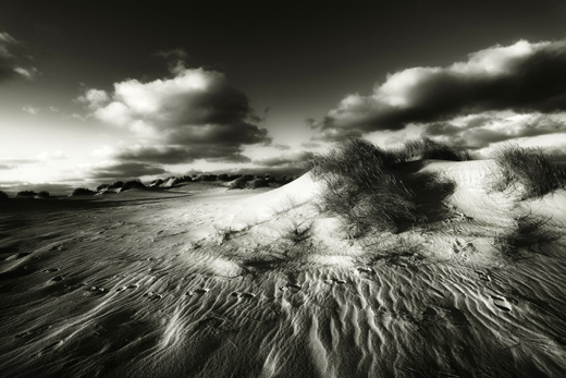 Dünenlandschaft auf der Nordseeinsel Sylt von Melanie Liebig
