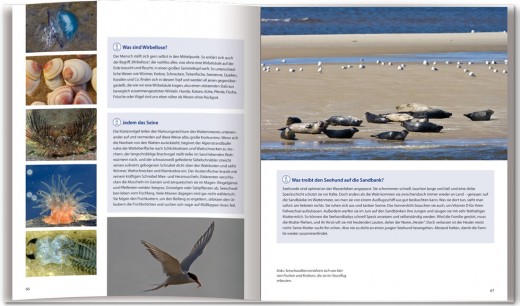 Buch von Martin Stock und Ute Wilhelmsen