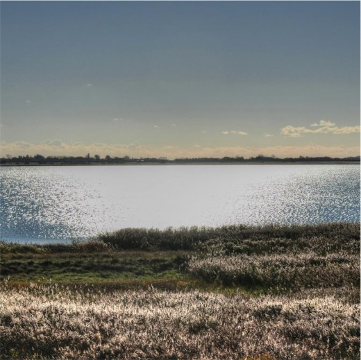 Beltringharder-Koog Naturschutzgebiet Nordfriesland