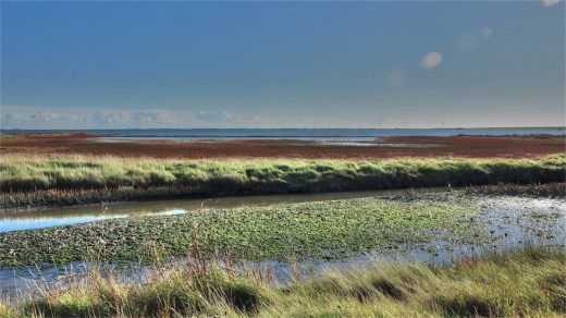 nordseeküste im herbst nordfriesland
