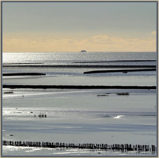 wattenmeer Nordsee