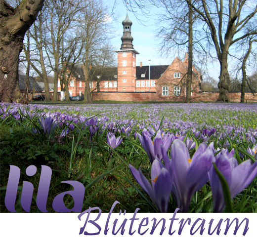 "Das Husumer Schloss zur Krokusblüte 17.4.2013"