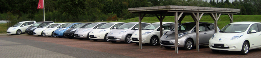 Elektroautos in Nordfriesland