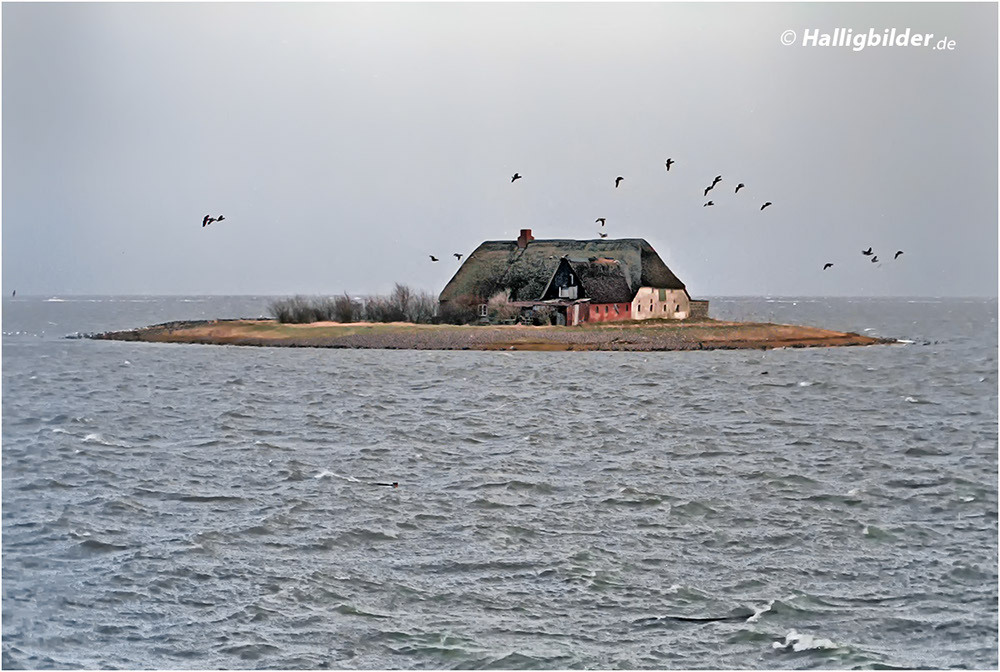 Landunter Land nner Sturmflut Auf Den Halligen Nordfriesland