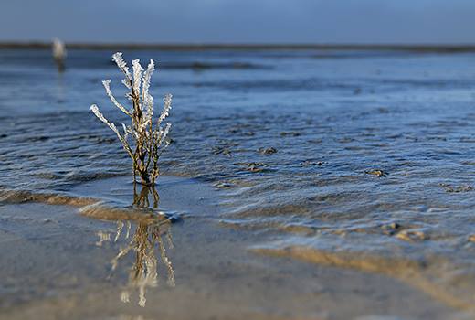“Foto: © Mirko Honnens”