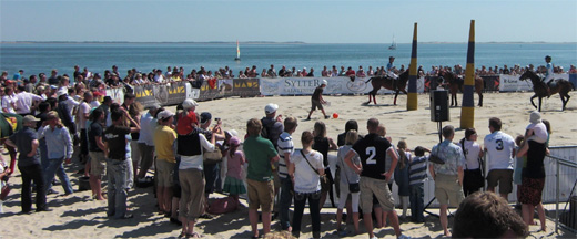 Pferdesport am Strand